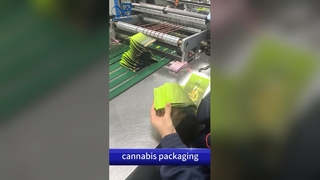 Çocuk Korumalı Çıkış Çantaları: ABD Patent Uyumlu Koku Korumalı B2B Özel Baskılı Kese