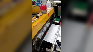 Özel Baskılı Buzlu Cam Çantalar Kişiselleştirilmiş Logo Geri Dönüştürülebilir Hediye Çantası