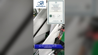 Ekoloji dostu ambalajlar için kendi kendine yapışkan şeritli özel basılı buzlu cam çantaları