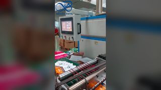 Stand-Up Çanta Yeniden Kapatılabilir Kilitli Gıda Sınıfı Taze Tutma Kesesi