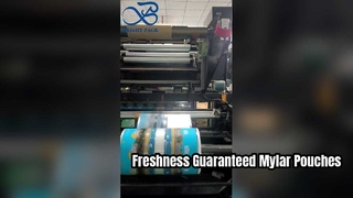 Baskılı Mylar Kese Hava Geçirmez Gıda Sınıfı Yeniden Kapatılabilir Saklama Kesesi