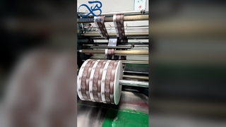 Özel Yüksek Bariyerli Gıda Ambalaj Filmi Neme Dayanıklı Özel Baskı Film Rulosu